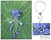 NOVICA Multi-Gem Stainless Steel Beaded Necklace