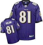 Men's Anquan Boldin Baltimore Ravens Purple Jersey Stitched Name & Number Size X-Large