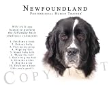 Newfoundland Landseer Human Trainer Mouse Pad Dog Mousepad