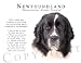 Newfoundland Landseer "Human Trainer" Mouse Pad Dog Mousepad