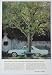1964 Buick LeSabre Print Ad (238)
