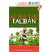 After the Taliban: Nation-Building in Afghanistan