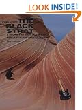 Pink Floyd: the Black Strat: A History of David Gilmour's Black Fender Stratocaster