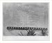 Historic Print (L): Historic Spanish record of the conquest - South side of Inscription Rock, N.M., no. 3.