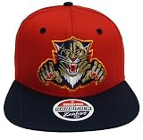 Florida Panthers Logo Zephyr Snapback Cap Hat Red Navy