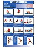 Stretching-Lower Body Laminated (Poster)