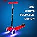 RIMABLE Foldable Max Kick Scooter with LED Light up Wheels