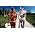 Thumbnail image of Daft Punk