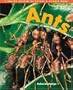 Ants (Denver Museum Insect Books)