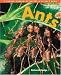 Ants (Denver Museum Insect Books)
