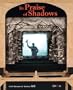 In Praise of Shadows