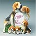   - Beagle Dog Hand Painted Figurine Picture Frame 1 3/8