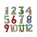 Disney Baby Boys Mickey Mouse Milestone Photo Prop Numbers Gift Set, Size