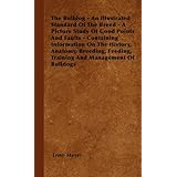 The Bulldog - An Illustrated Standard Of The Breed - A Picture Study Of Good Points And Faults - Containing Information On The History, Anatomy, Breeding, Feeding, Training And Management Of Bulldogs