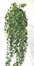 Artificial Trailing Ivy - 107 Lvs - Trail Leaf Count -