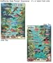 Kelp Forest Creatures Fish ID