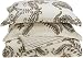 Regency Collection 310 Thread Count Maxine Printed Paisley Cotton King Duvet Set, Mocha