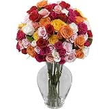 Assorted Spray Roses 80 Blooms with Jordan Vase