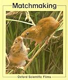 Matchmaking