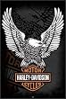 Harley Davidson Logo 24x36 Poster FRAMED