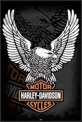 Harley Davidson Logo 24x36 Poster FRAMED