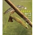 うまれたよ！ヤゴ<br>中瀬 潤写真 小杉 みのり構成・文 <br>岩崎書店<br>2310円<br>ISBN:9784265020492