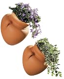 Produkt-Bild: WENKO 7025500 Pflanzamphore - 2er Set, Terrakotta, je 14 x 17.1 x 17.5 cm