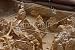Wallmonkeys Peel and Stick Wall Decals - Fossil Park Digsite - Removable Graphic