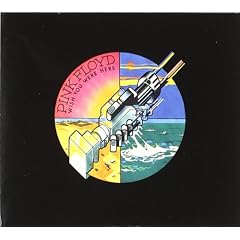 Wish You Were Here [Experience Edition]