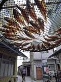 Fish are Laid Out to Dry Above Streets of Tai O - Fishing Village on Lantau Island, Hong Kong Photographic Poster Print by Andrew Watson, 30x40