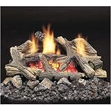 Gas Logs