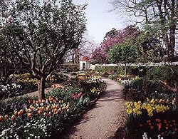 Along a Beautiful Path in Springtime at Virginia's Mount Vernon - Soothing 16"x20" Photographic Print by Carol M. Highsmith
