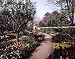 Along a Beautiful Path in Springtime at Virginia's Mount Vernon - Soothing 16"x20" Photographic Print by Carol M. Highsmith