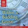 Within a Budding Grove: Remembrance of Things Past, Volume 2