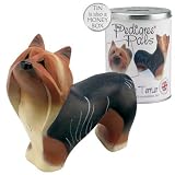 My Pedigree Pals Figurine in Money Box Tin - Yorkshire Terrier