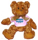 YOU'VE NEVER MET A MANDOLIN PLAYER LIKE ME! Plush Teddy Bear with PINK T-Shirt