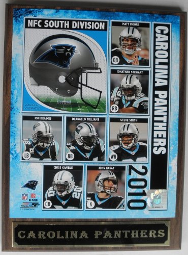 Carolina Panthers Picture Plaque