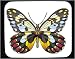 Decorated Mouse Pad with butterfly, insect, jezebel, red-spotted