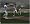 Cricket 07 (PS2)