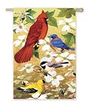 Outdoor Living : BANNER SPRING QUARTET