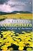 Connemara: The Last Pool of Darkness (Connemara Trilogy 2)