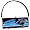Carolina Panthers