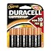 Coppertop Alkaline Batteries AA 10/Pack
