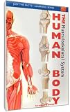 Just The Facts: The Human Body - Musculoskeletal