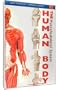 Just The Facts: The Human Body - Musculoskeletal