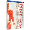 Just The Facts: The Human Body - Musculoskeletal