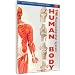Just The Facts: The Human Body - Musculoskeletal