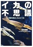 書評 イカの不思議 季節の旅人・スルメイカ by allblue300