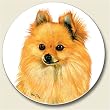 AutoCoaster ~ Pomeranian ~ Tile Drink Coaster for car cupholder - code 850