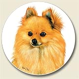 AutoCoaster ~ Pomeranian ~ Tile Drink Coaster for car cupholder - code 850